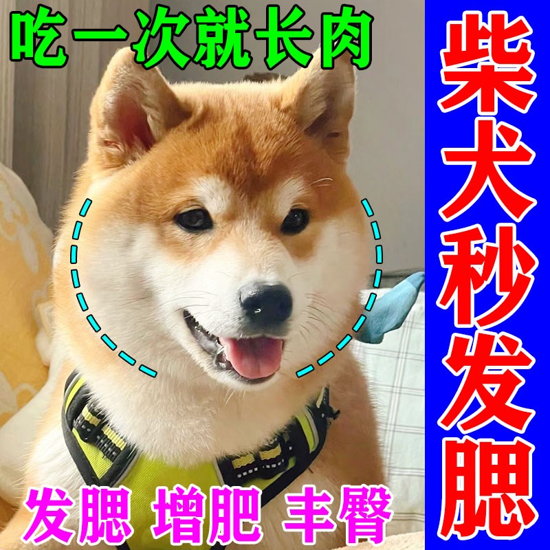 柴犬增肥发腮专用狗粮柯基秋田泰迪增加食欲营养开胃增肥补充片剂