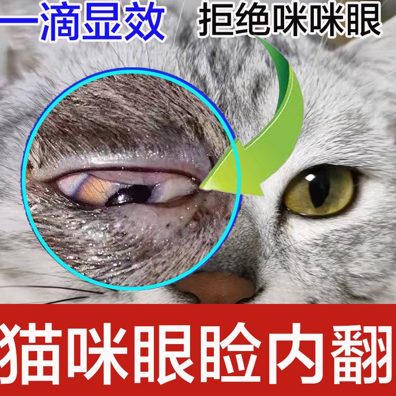 猫咪眼睑内翻倒睫毛眨眼眯眼泪痕增多狗眼红肿充血角膜溃痉疡挛图片