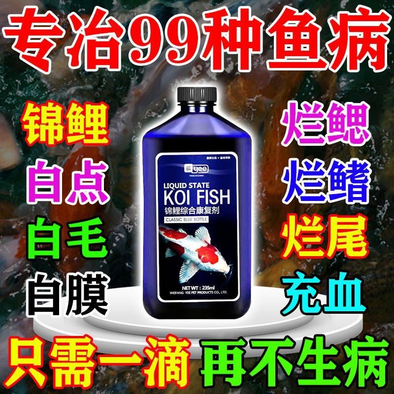 锦鲤鱼病药锦鲤药烂身烂尾专用药白毛病白点病烂嘴烂肉综合康复剂