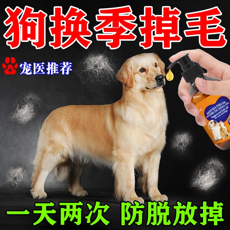 狗掉毛严重吃什么猫咪换季脱毛补充营养美毛亮毛专用成犬掉毛鱼油