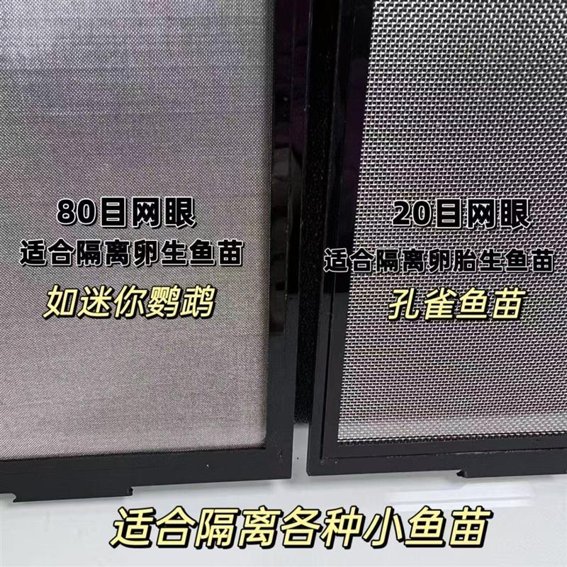 四面80目304不锈钢网隔离盒防吸高透不生锈隔离迷你鹦鹉鱼苗专用图片