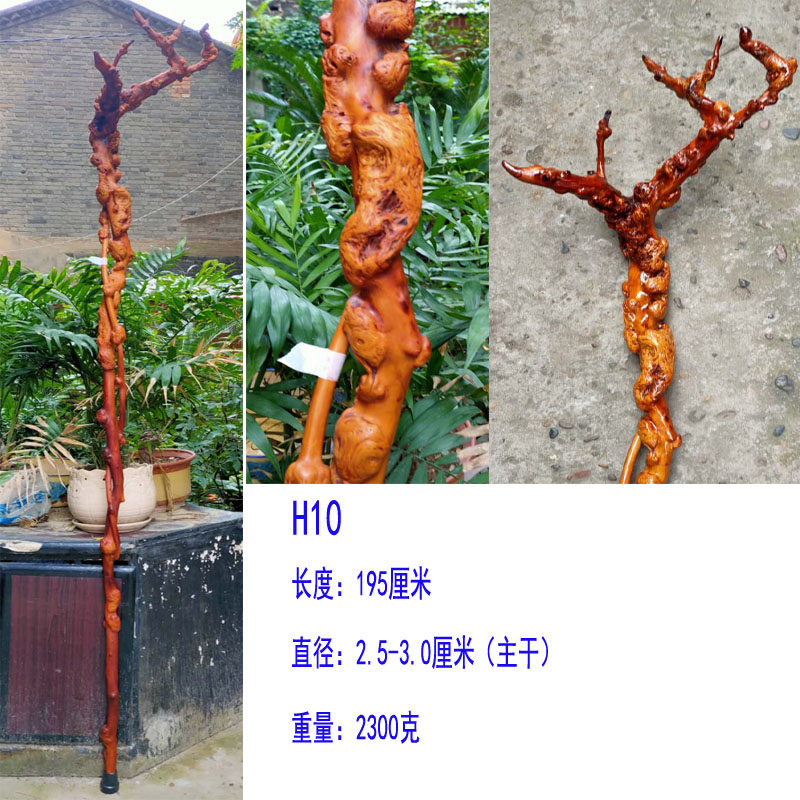 云南黑果木红茶树原生象形新品实木拐杖一体禅杖根雕文玩收藏摆件