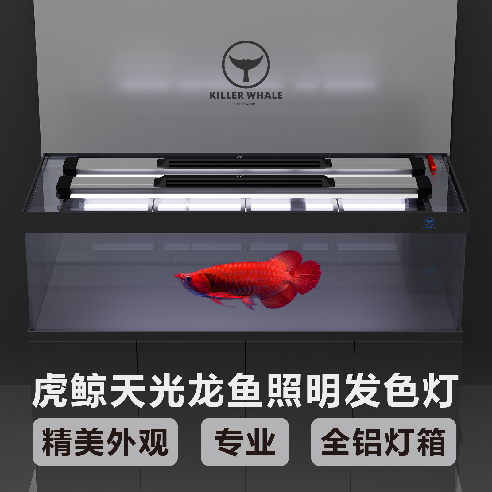 虎鲸天光灯鱼缸专用烤色灯龙鱼照明发色灯顶侧两用专业鱼缸发色灯