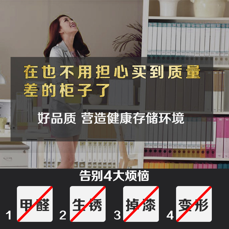 钢制大器械文件柜办公隔板分层架档案收纳资料存储带锁铁皮的柜子