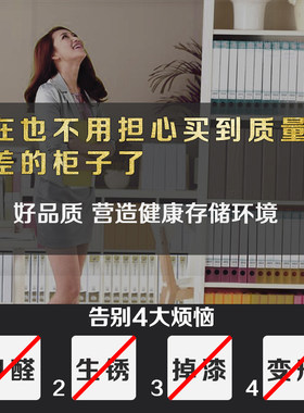 钢制大器械文件柜办公隔板分层架档案收纳资料存储带锁铁皮的柜子