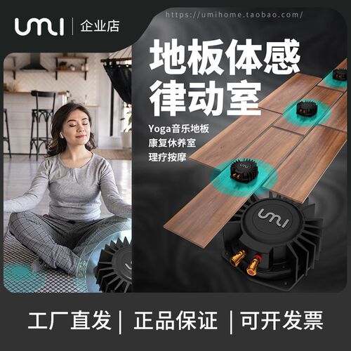 UMI低频振动器50w 游戏按摩椅 5D体感音乐模拟赛车低音喇叭 新品