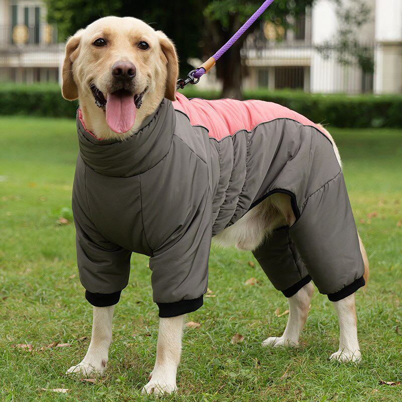 狗狗牵引衣服秋冬装大型犬拉布拉多金毛幼犬加厚加绒冬季保暖棉衣