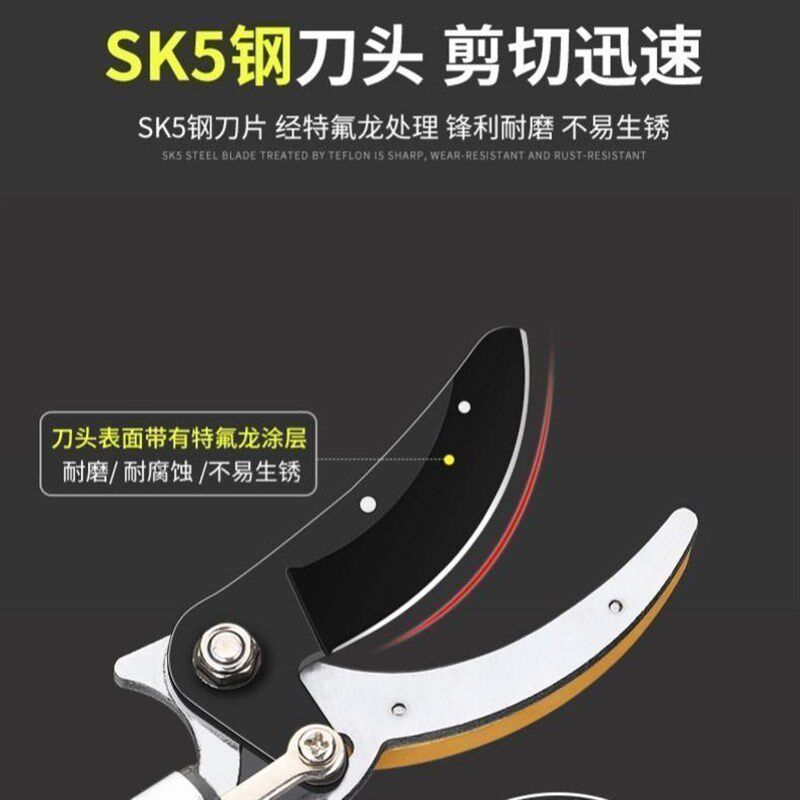 摘果神器水果荔枝龙眼杨梅柿子枇杷梨可伸缩高空采摘果子加长剪刀