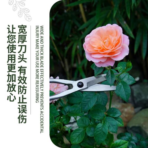 不锈钢盆栽剪刀修枝剪兰花剪花艺细枝长杆盆景剪造型园林专用剪子