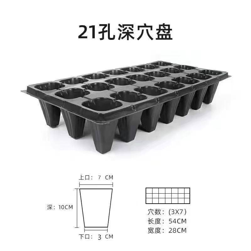 加深高脚育苗盘穴盘草莓月季樱桃林木加厚穴盘21孔32孔50孔育苗盘