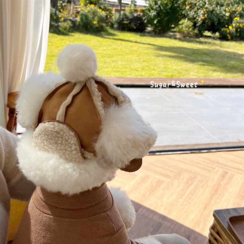 狗狗帽子加绒保暖秋冬季泰迪比熊法斗柴犬雪纳瑞宠物头饰帽露耳朵
