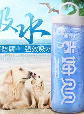 宠物猫狗用品洗澡毛巾猫狗浴巾大号桶装A品鹿皮巾