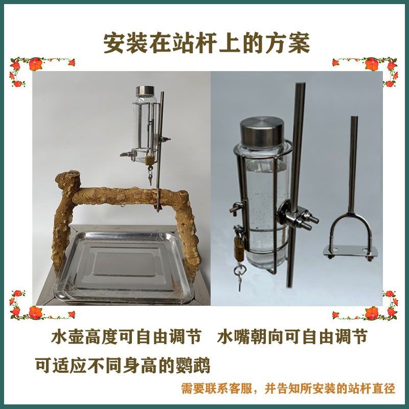 鹦鹉站架水壶 防叼水壶 撞针式 高硼硅玻璃水壶 宠物鸟鹦鹉饮水器