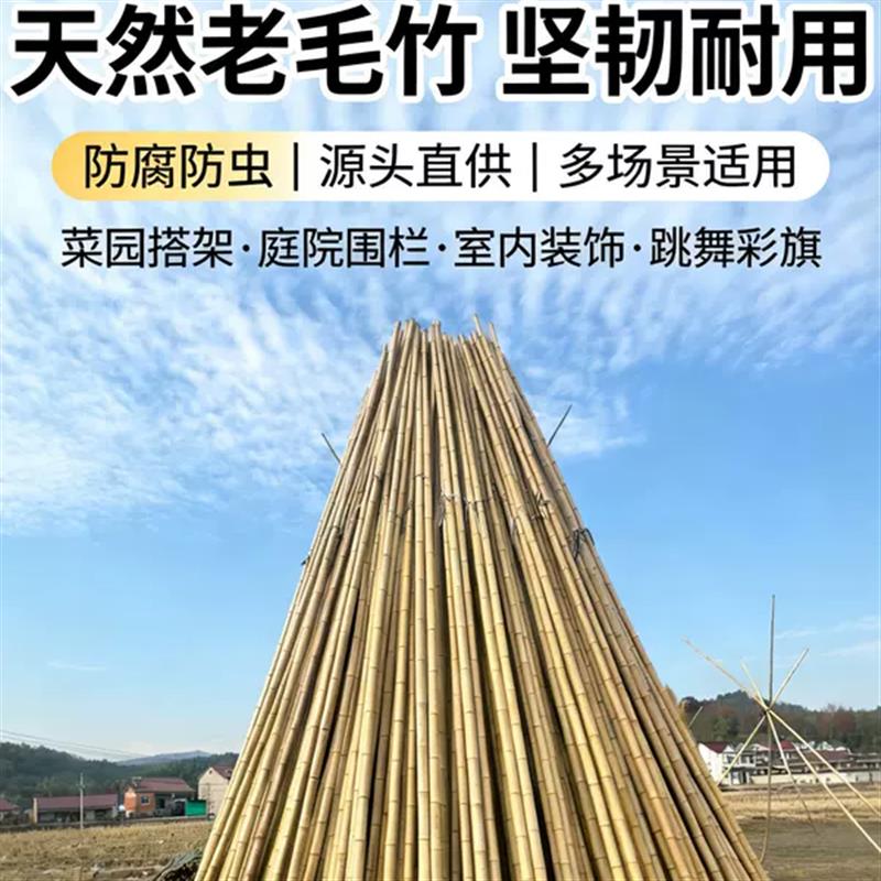 竹篱笆栅栏围栏户外新中式庭院围墙防腐碳化竹子花园院子护栏竹竿