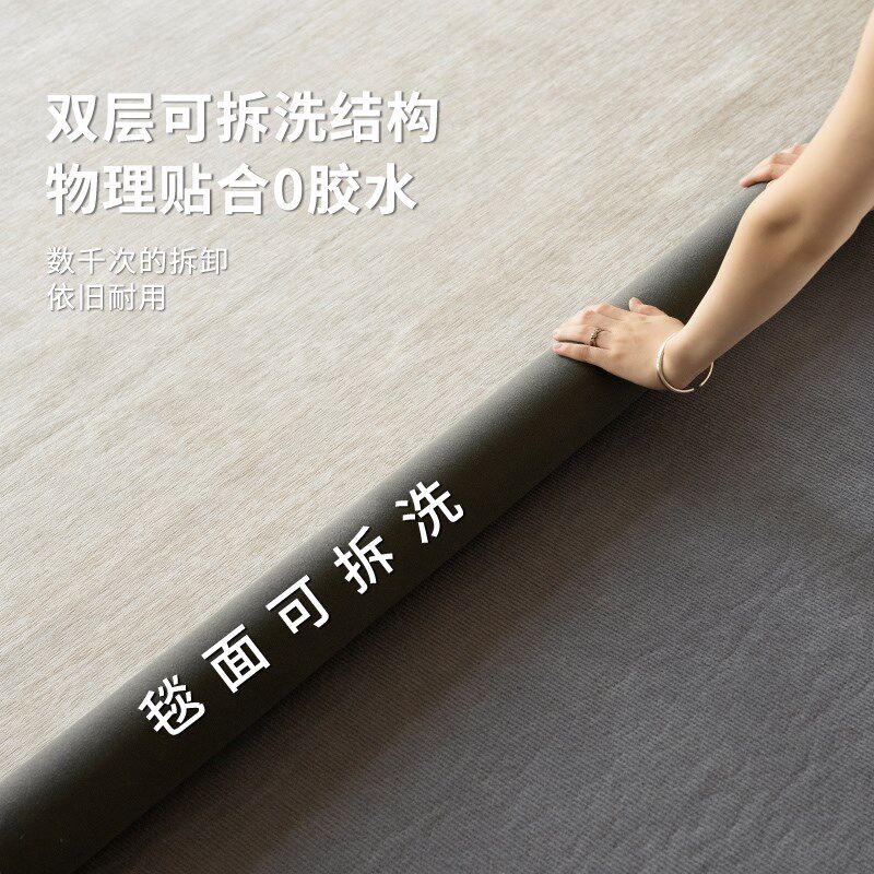 地毯客厅可拆洗2024新款侘寂奶油风可机洗卧室高级感沙发茶几地垫