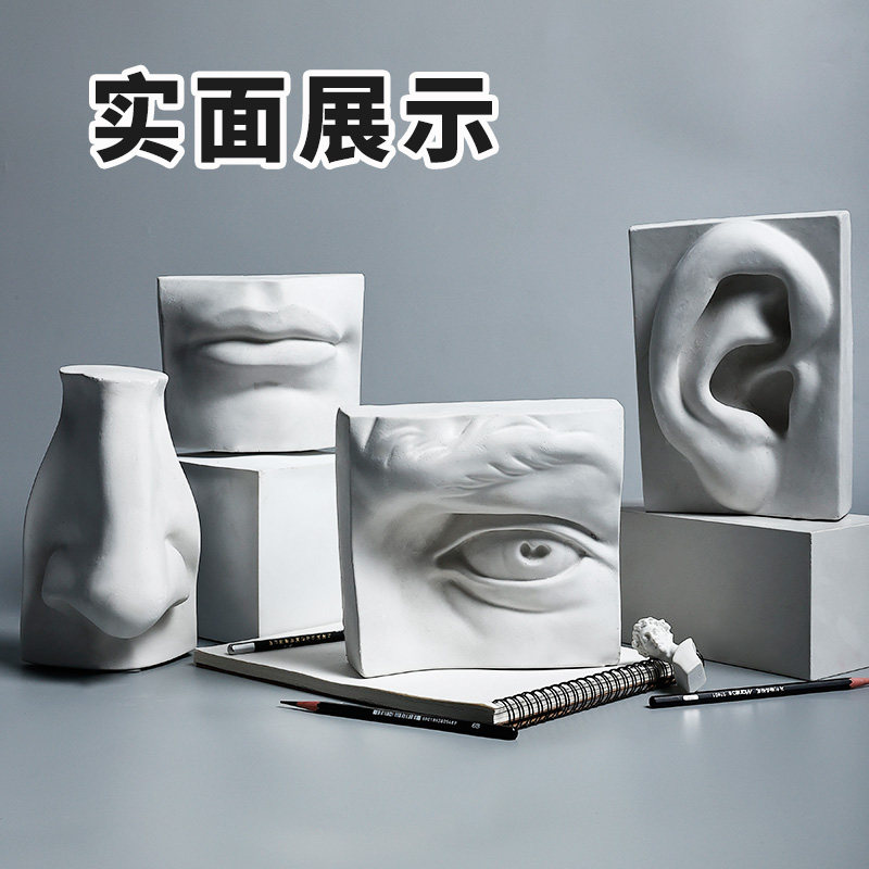 石膏五官模型美术教具套装素描几何体实面切面画具静物