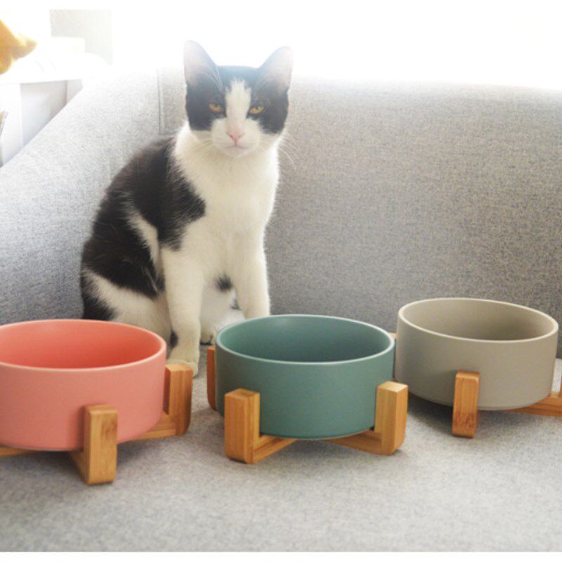 猫碗水碗松木碗架狗狗食盆柴犬狗碗陶瓷碗宠物餐桌猫用品单碗双碗