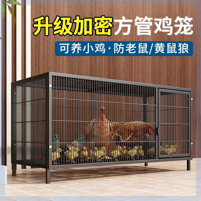鸡下蛋的笼子养鸡笼家用养殖笼家用铁笼鸡舍家用蛋鸡笼特大号