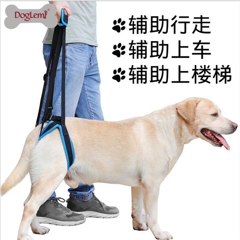 狗狗后腿残疾辅助带高老龄犬腿受伤无力支架牵引绳背带不影响排泄