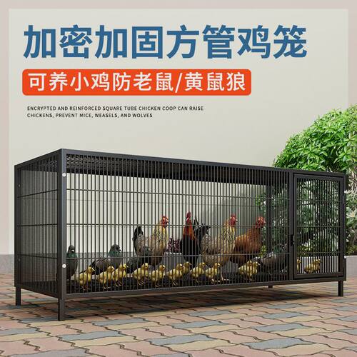 鸡下蛋的笼子家用加粗大号养殖笼折叠鸭笼鹅笼狗笼自动滚蛋鸡笼厂
