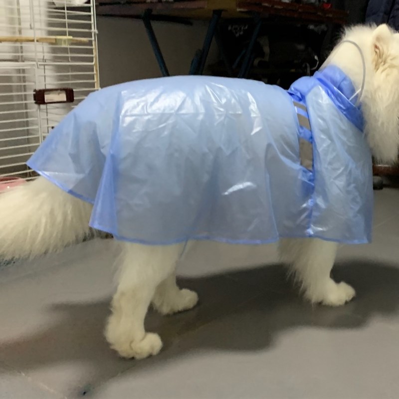 半透明宠物雨衣适用大中小型犬 带帽防水雨披轻薄透气