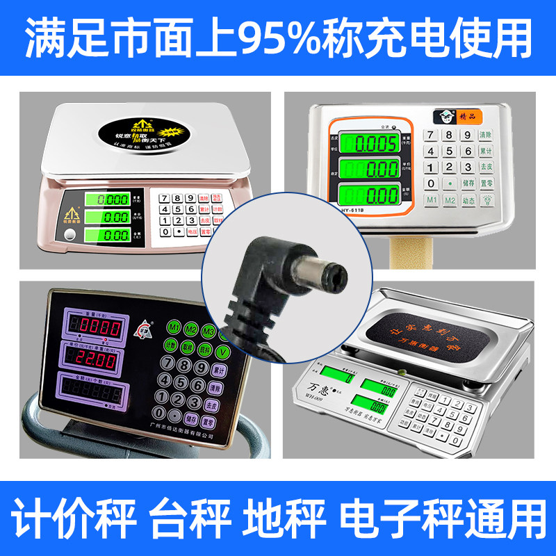 大红鹰大阳永祥潼城电子称台秤4v6v充电器电子秤圆孔三孔充电器