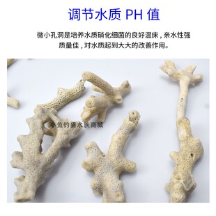 珊瑚砂沙珊瑚石珊瑚骨鱼缸过滤材料稳定水质PH天然底砂水族用品