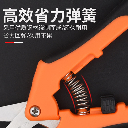 家用剪刀树枝剪手工小型花枝剪果树修枝剪刀园艺省力修花枝剪果枝