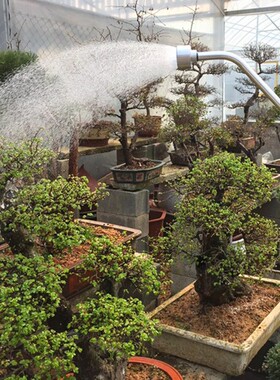 庭院长杆浇花喷头水枪 浇菜的撒水喷头 带开关调节喷水器洒水神器