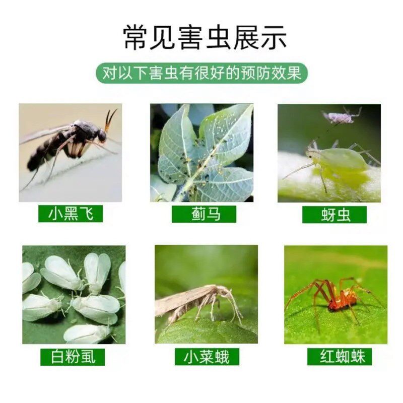 【无虫爆盆】园艺防虫片小黑虫灭蚜虫白粉虱菜蛾飞虫盆栽花卉植物