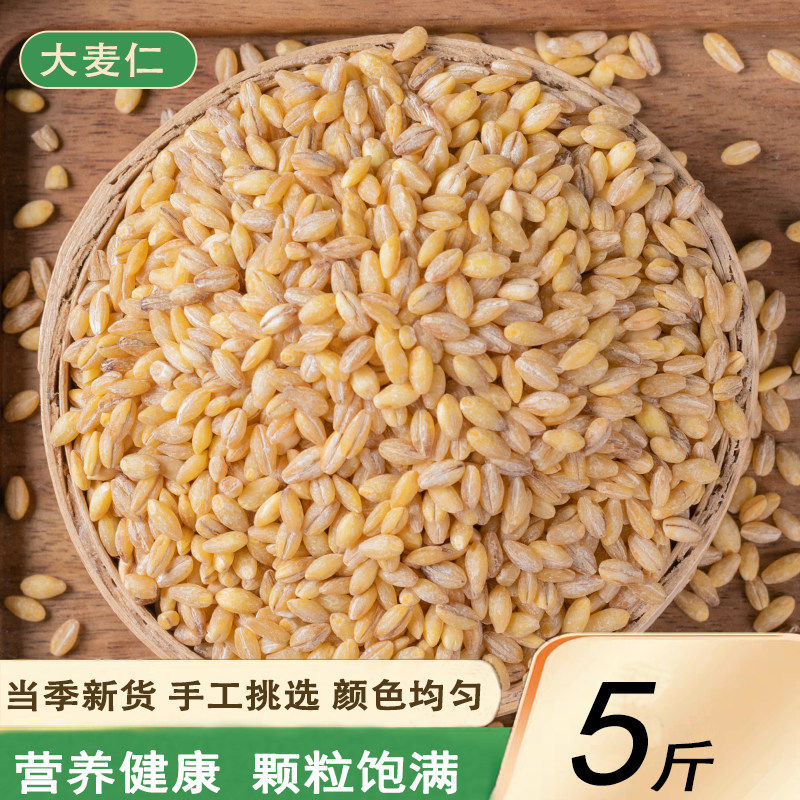 新货去皮大麦仁5斤_农家粗粮大麦米脱皮大麦仁煮粥煮饭五谷杂粮
