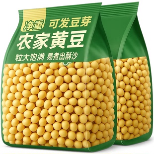 2025黄豆新货农家自种大豆子五谷杂粮生的发豆芽打豆浆专用小黄豆