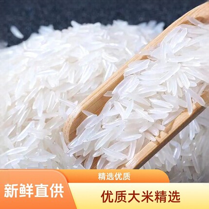 【开业价】猫牙米正宗长粒香米象牙米软糯有机无抛光细长米煲仔饭