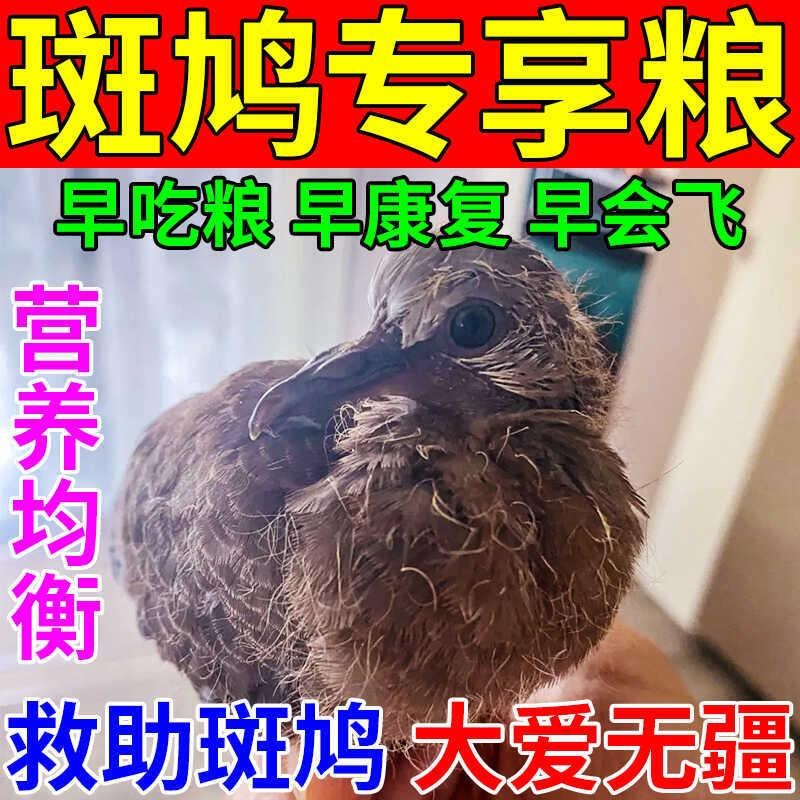 斑鸠粮食专用饲料五色黍子幼鸟换毛期小颗粒营养粮麻雀鸽子通用粮