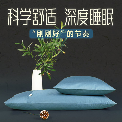 荞麦壳枕头成人单人宿舍夏季助睡眠透气护颈椎专用甜苦荞麦枕芯硬