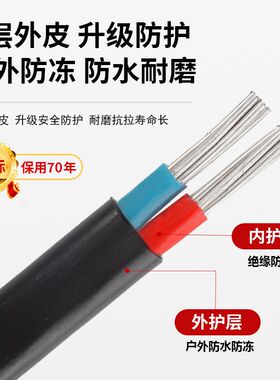 国标家用户外铝芯2芯电线防老化线10平方 16平方双芯铝线铝护套线