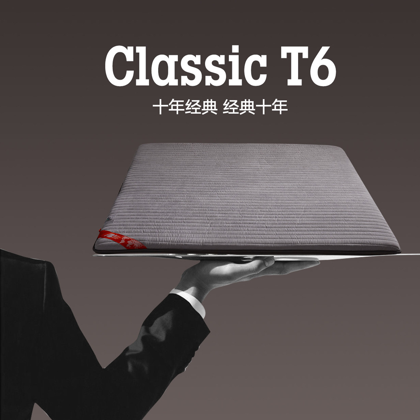 【十年经典】ABT6竹炭床垫 抗菌床垫家用卧室榻榻米150x180x200cm