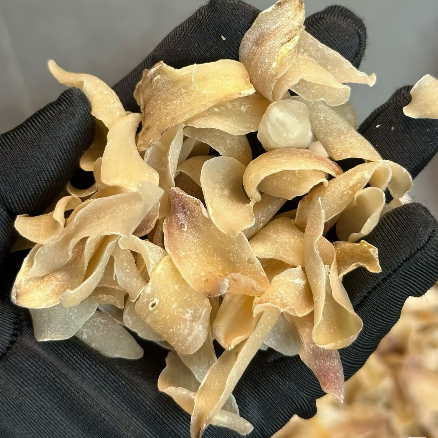 正宗隆回深山药用纯天然卷丹中药材野生食用非兰州龙牙百合干货片