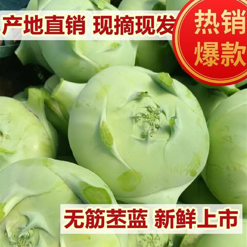 苤蓝疙瘩芥菜新鲜蔬菜芥兰大头菜当季云南农家现摘薄皮无筋直销