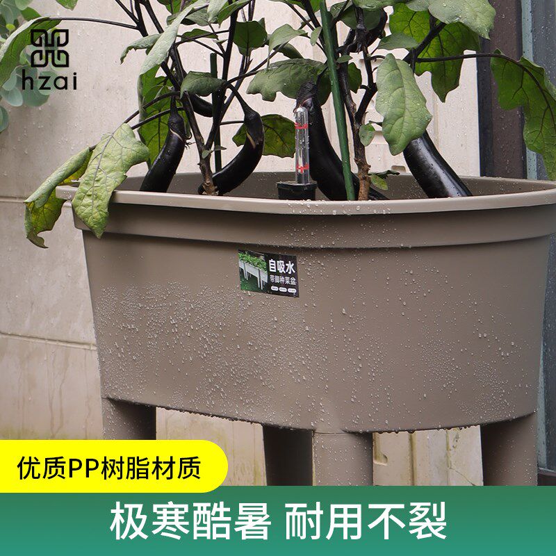 种菜盆阳台专用花箱户外庭院高脚大口径白色花盆家用蔬菜种植箱槽