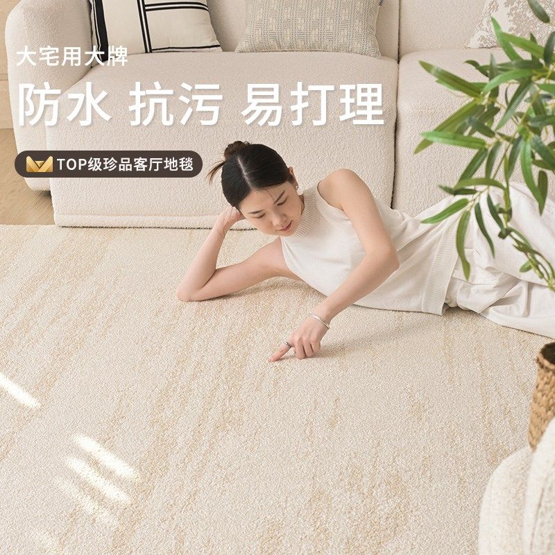 地毯客厅2026新款防水防污矽藻丝奶油风免洗可擦高级轻奢卧室沙发