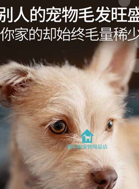 比熊专用爆毛粉狗狗海藻粉毛发增亮美毛粉增色宠物营养品快速长毛