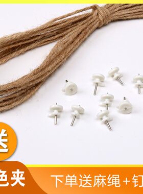 彩色木夹子/DIY配件/装饰/麻绳照片墙/可爱迷你原木色木夹子/包邮