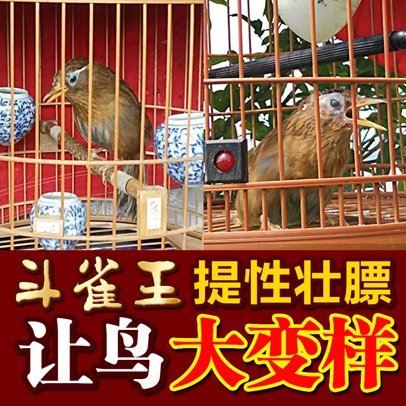 斗雀王 秘制手工画眉鸟食画眉鸟饲料提性壮膘 打彩斗鸟料唱鸟500g