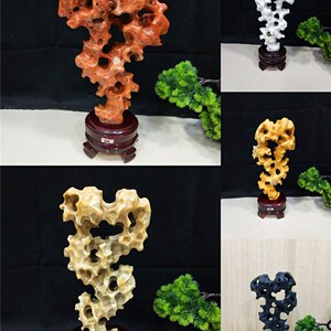 包邮小型太湖石摆件奇石观赏石家居收藏礼品天然原石镇宅石玲珑石