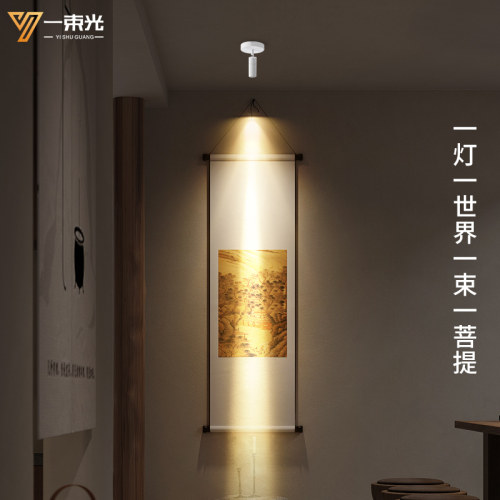 一束光聚光射灯智能明装客厅家用茶室摆件绿植字画餐厅玄关吸顶灯