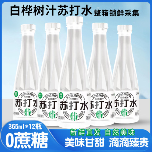 白桦树汁苏打天然水风味饮料夏季