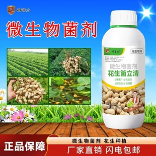 田状元花生菌立清花生促花促果补充营养快速复壮微生物菌剂正品