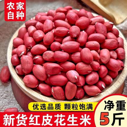 红皮花生米批发农家自产红衣四粒红新货花生新鲜无壳花生批发
