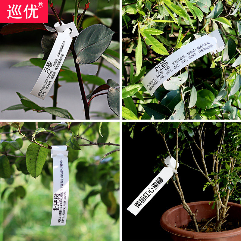 空白可打印园艺标签纸植物吊牌树木挂牌苗木花卉防水标牌塑料标识